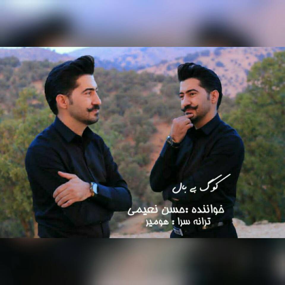 حسن نعیمی کوگ بی بال